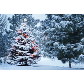Winter Snow Covered Christmas Tree Backdrop