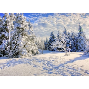 Blue Sky White Cloud Sun Rise Snow Covered Forest Scene Christmas Backdrop Stage Photography Background