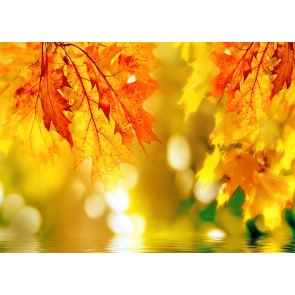 Red Leaf And Lake Water Bokeh Fall Backdrop Studio Portrait Photography Background