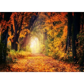 Fallen Leaves Forest Fall Backdrop Studio Portrait Photography Background