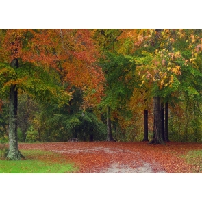 Fallen Red Leaf Green Forest Fall Wedding Backdrop Studio Portrait Photography Background