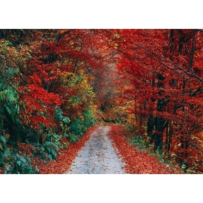 Roadside Red Leaf Forest Fall Backdrop Studio Portrait Photography Background