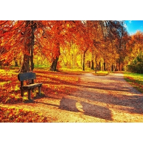 In The Sun Red Maple Leaf Forest Park Fall Backdrop Studio Portrait Photography Background