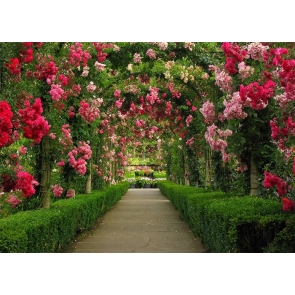 Flower Pergola Corridor Wedding Backdrop Photography Background