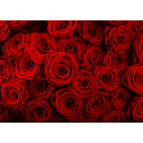 Red Rose Flower Wall Backdrop Valentines Backdrop Wedding Photography Background