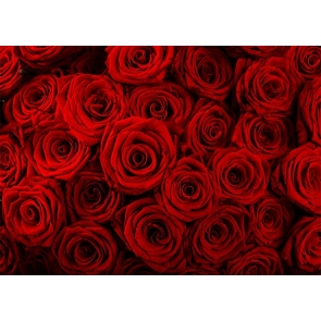 Red Rose Flower Wall Backdrop Valentines Backdrop Wedding Photography Background