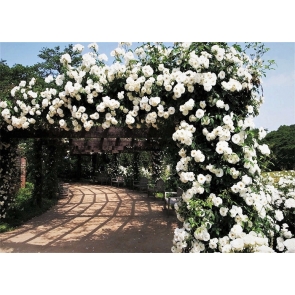 White Flower Pergola Corridor Wedding Backdrop Photography Background
