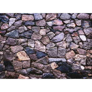 Retro Stone Wall Brick Backdrop Studio Photography Background 