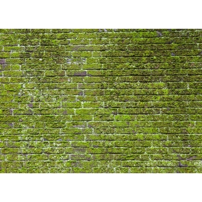 Retro Moss Brick Wall Backdrop Studio Stage Photography Background