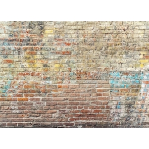 Retro Graffiti  Brick Wall Backdrop Studio Stage Photography Background