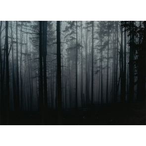 Scary Black Forest Fear Halloween Backdrop Stage Studio Party Background