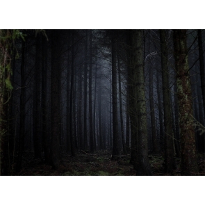 Fear Scary Forest Halloween Backdrop Stage Studio Party Background