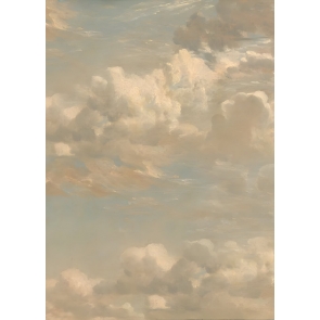 RetroAbstract Cloud Texture Portrait Backdrop Photography Background
