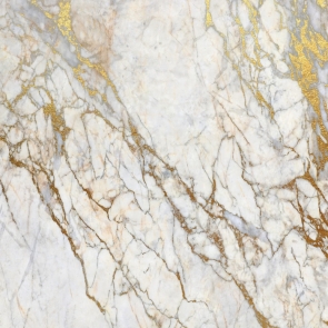 Abstract Retro Marble Gold Texture Wall Backdrop Studio Portrait Photography Background