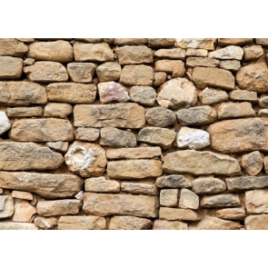 Retro Old Stone Wall Backdrop Photography Background Decoration Prop