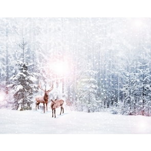 Winter Snowflake Wonderland  Christmas Backdrop tage Photography Background Decoration Prop