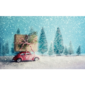 Snowflake Car Gift Box Christmas Photo Booth Backdrop  Photography Background Decoration Prop