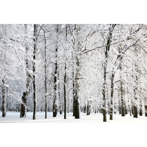 Winter Snow Wonderland Backdrop Christmas Stage Photography Background Decoration Prop