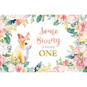 Some Bunny Is One Backdrop Happy Birthday Photography Background Decoration Prop