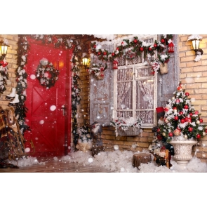 Snowflake Window Doorway Christmas Backdrop Photo Booth Stage Decoration Photography Background