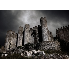 Dark Castle The Haunted Cathedral Halloween Photo Backdrop