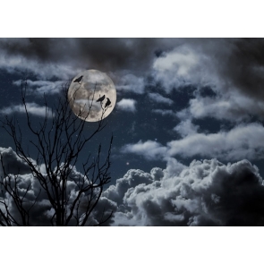 Scary Night Full Moon Crow on Tree Branch Halloween Party Backdrops