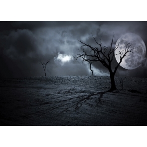 Scary Dark Night Moon Withered Tree Halloween Photo Backdrops