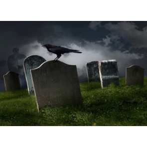 Scary Night Cemetery Crow Halloween Themed Party Background Backdrops