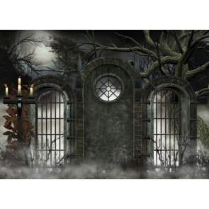 Gothic Vampire Themed Scary Halloween Photo Backdrops