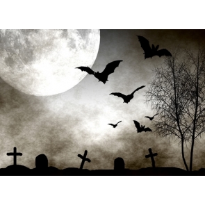 Scary Night Moon Bats Cemetery Halloween Party Backdrop Background