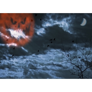 Scary Night Skull Pumpkin Clouds Halloween Party Decorations Background Drops