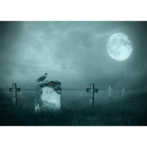 Scary Night Crow Cemetery Full Moon Halloween Party Backdrops Background