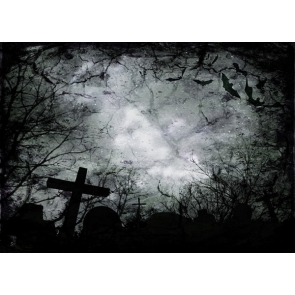 Scary Night Cemetery Bats Halloween Party Photo Backdrop Background