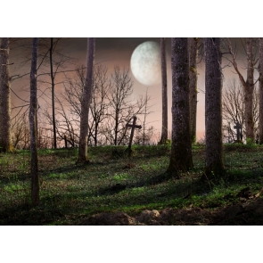Scenic Midnight Moon Cemetery in Woods Halloween Photo Background