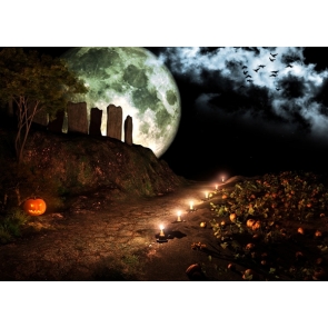Scary Night Skull Pumpkin Candles Road Cemetery Halloween Photo Backdrops