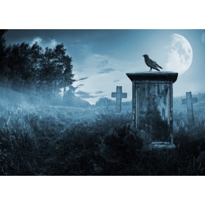 Scary Night Moon Crow Cemetery Halloween Party Decoration Background