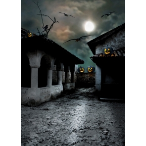 Halloween Pumpkin Lanterns Crow Old Shabby House Studio Photo Background