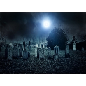 Scary Night Horrible Cemetery Tombs Halloween Party Photo Backdrops