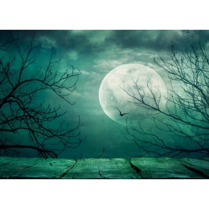 Full Moon Withered Trees Crow Night Halloween Photo Backdrops