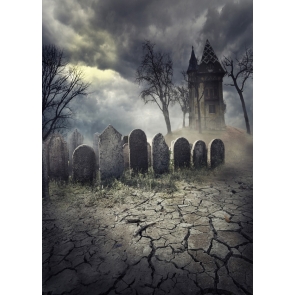 Cracked Land Tombs Cemetery Ghost Castle Halloween Party Photo Backdrops