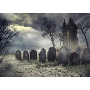 Horrible Tombs Cemetery Ghost Castle Halloween Party Photo Backdrops