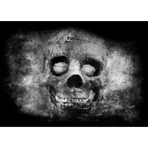 Horrible Skull Picture Halloween Party Background Backdrops