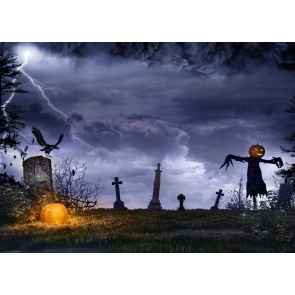 Scary Night Skull Pumpkin Crow Tombs Cemetery Halloween Photo Backdrops