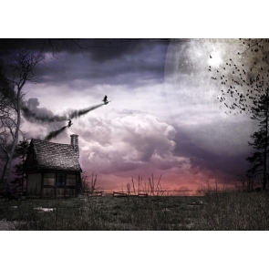 Scary Night Bats Ghost House Picture Backdrops for Halloween Party