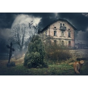 Old Shabby House Horrible Cat Scenic Picture Background for Halloween Party