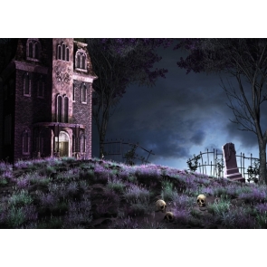 Scary Night Ghost Castle Skulls Cemetery Halloween Party Background Photo Backdrops