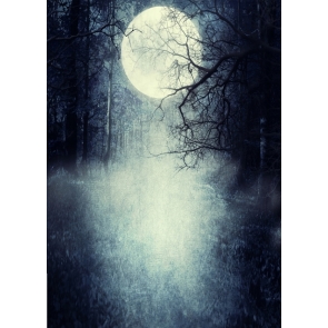 Scenic Horrible Night Full Moon Woods Studio Background for Halloween Party