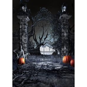 Horrible Iron Gate Pumpkins Skull Ghost Scary Halloween Backdrops