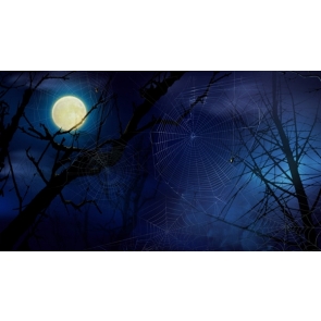Under The Moon Spider Web Halloween Backdrop Party Background Decoration Prop