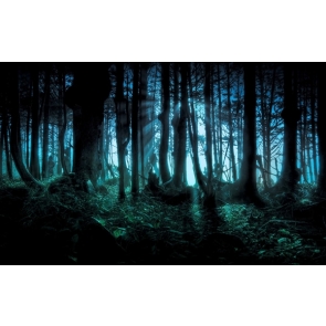 Scary Black Forest  Halloween Photo Backdrop Party Photography Background Decoration Prop
